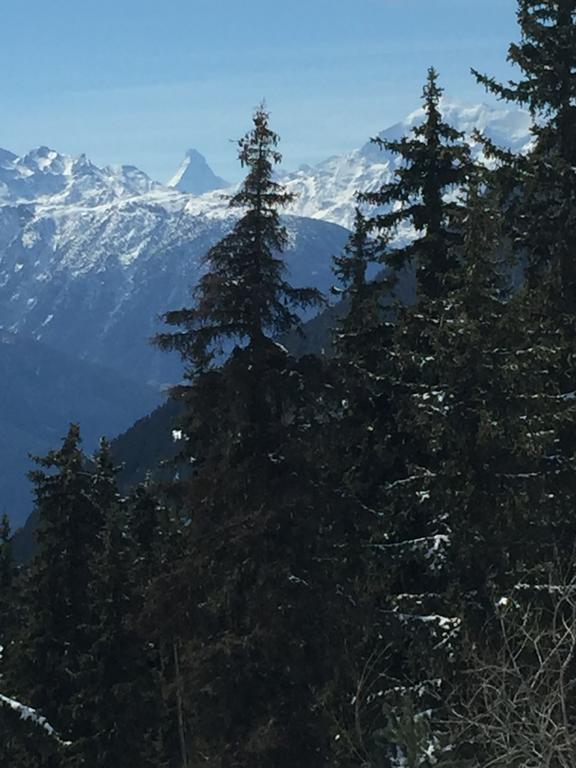 Haus Brunnen Apartment Riederalp Luaran gambar